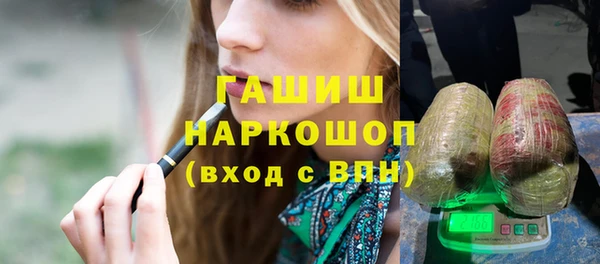 СК Туринск