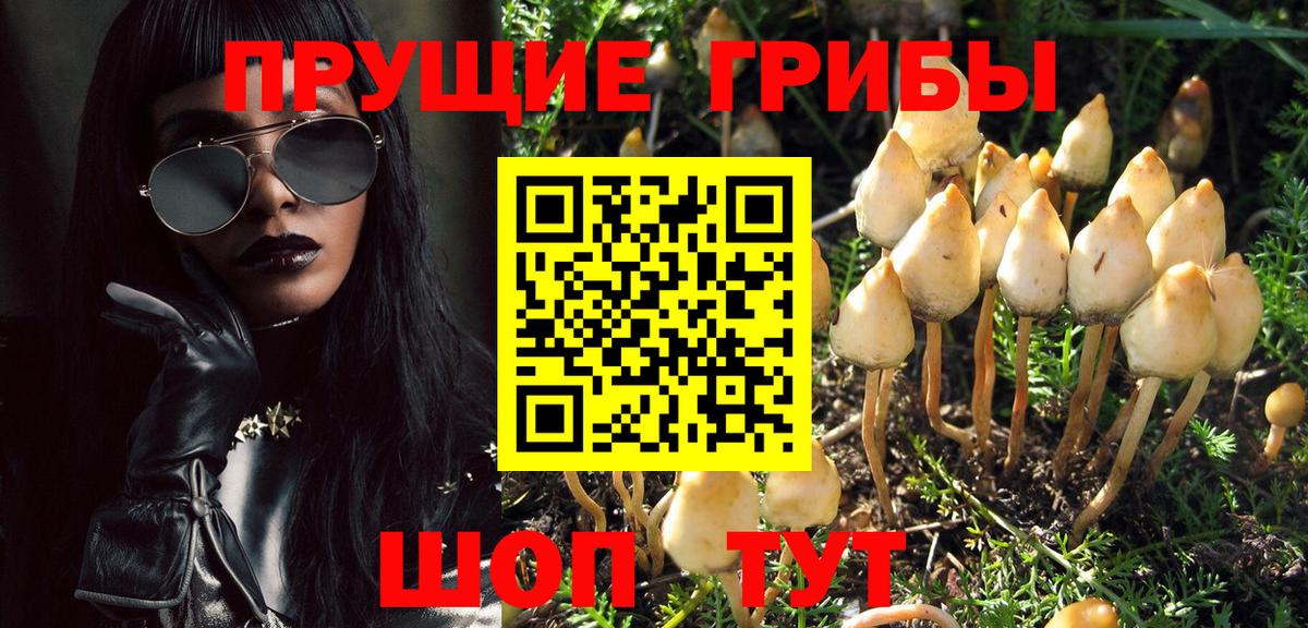 Галлюциногенные грибы Magic Shrooms Фурманов
