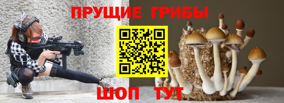 Псилоцибиновые грибы прущие грибы  Вход с VPN  сколько стоит  Фурманов 