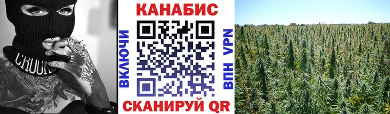 нарко площадка формула  Фурманов  Бошки марихуана сатива 